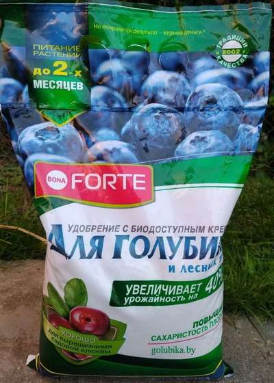 Подкормка садовой гoлyбики