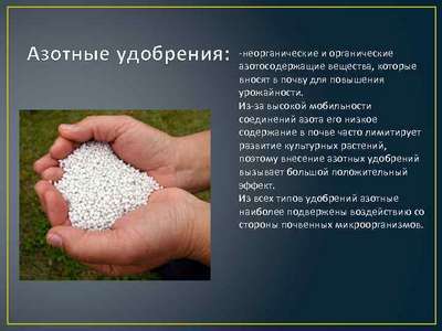 Для чего необходимы азотные удобрения и какие бывают?