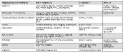 Что посадить после картошки?