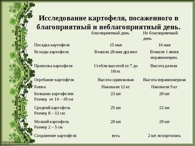 Сроки, когда сажать картошку