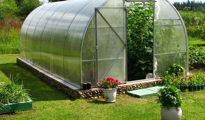 Какой поликарбонат выбрать для теплицы?