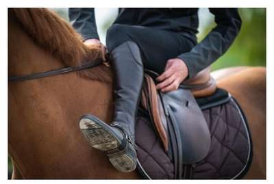 АмортизаторLENA POLAIRE FOUGANZA - Верховая езда Верховая езда - В продаже...