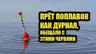 АРОМАТИЗАТОР ЗАПАХ ЧЕРВЯ LLC RUSS - Рыбная ловля в пресной воде Рыбалка - В...