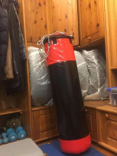 БОКСЕРСКИЙ МЕШОК ДЕТСКИЙ 10 КГ IP Kopitsov Sergey V - Бокс Спортивные единоборства...