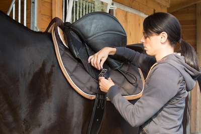 Чехол для подпруги FOUGANZA - Верховая езда Верховая езда - В продаже на