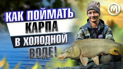 ФИДЕРНАЯ КАТУШКА ATEMI Ribolovniy mir - Рыбная ловля в пресной воде Рыбалка...