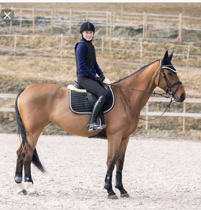 КИСТОЧКА В ФУТЛЯРЕ Horze - Верховая езда Верховая езда - В продаже на