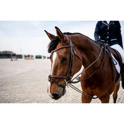 КОРДА SOFT FOUGANZA - Верховая езда Верховая езда - В продаже на