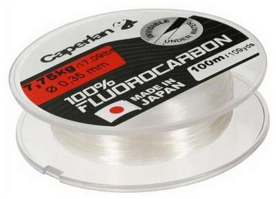 ЛЕСКА ДЛЯ РЫБНОЙ ЛОВЛИ FLUOROCARBON 100% 100 М CAPERLAN - купить в интернет-магазине