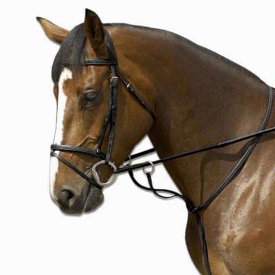 Мартингал Schooling  FOUGANZA - купить в интернет-магазине