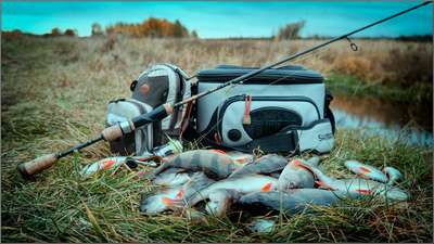 МОТЫЛЬНИЦА AFA - Рыбная ловля в пресной воде Рыбалка - В продаже на