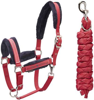 Недоуздок Winner  FOUGANZA - купить в интернет-магазине