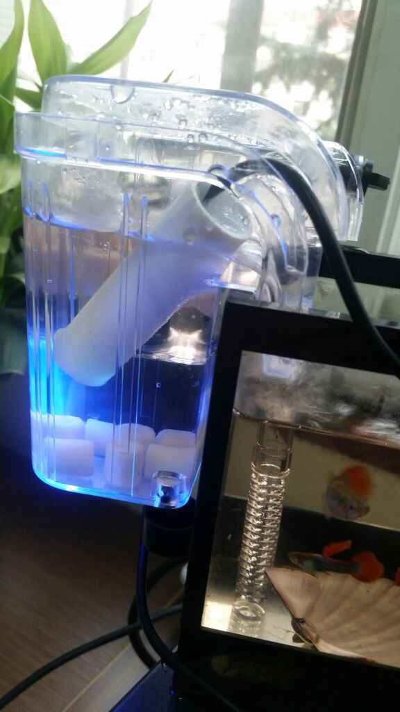 УФ-стерилизатор для аквариума: как сделать своими руками, зачем нужна ультрафиолетовая лампа, внешний фильтр, особенности использования для черепах